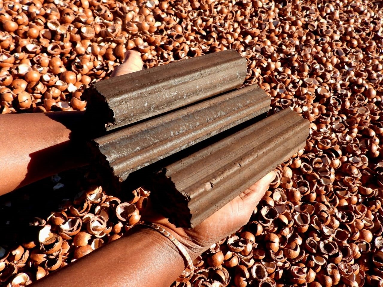 Close-up of Shisa Eco-Briquettes